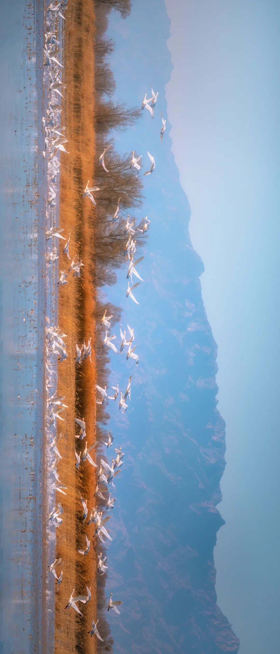 Image related to Why Does the Toughest City in Northwest China Have So Many Northeastern Influences?