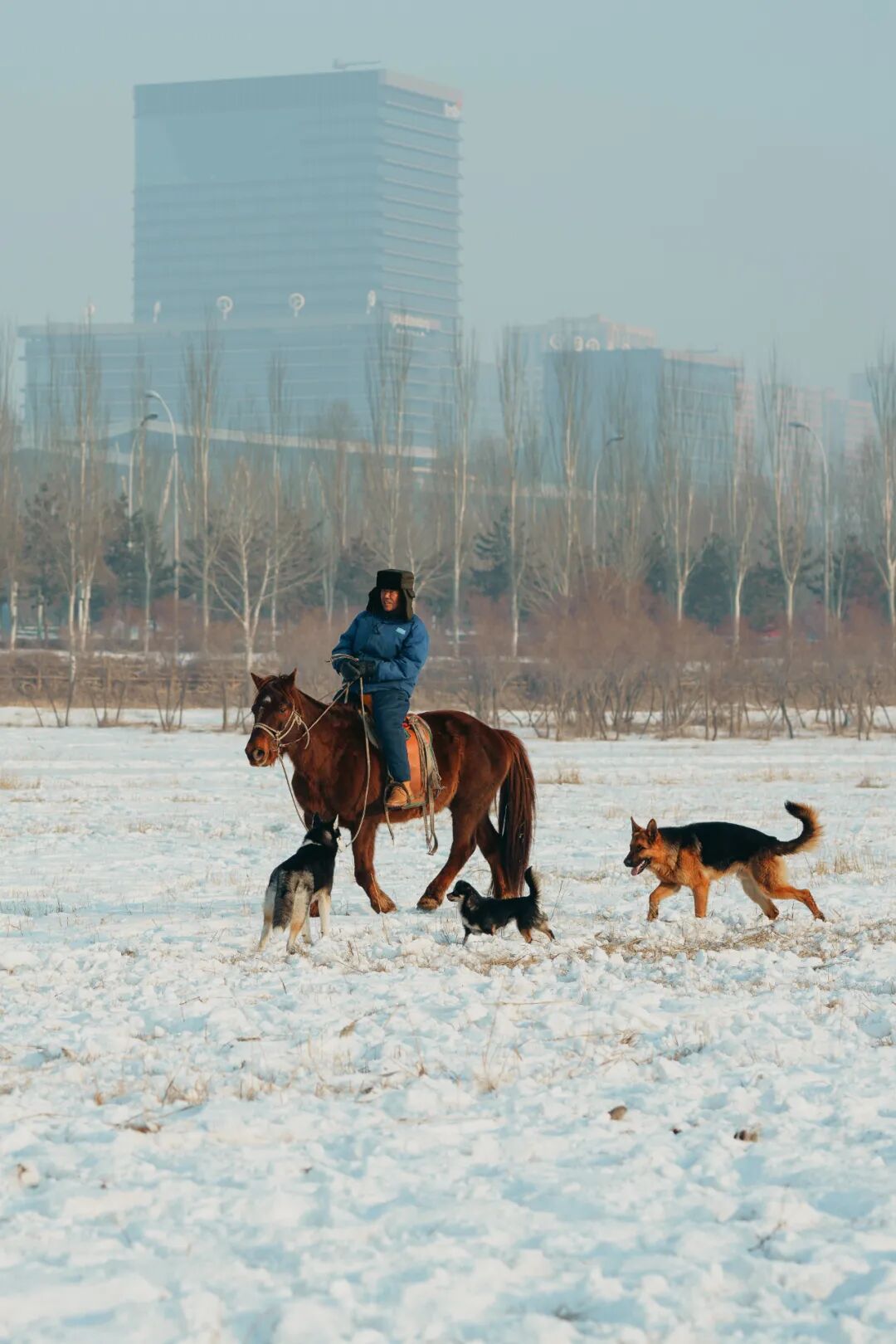 Image related to Why Does the Toughest City in Northwest China Have So Many Northeastern Influences?