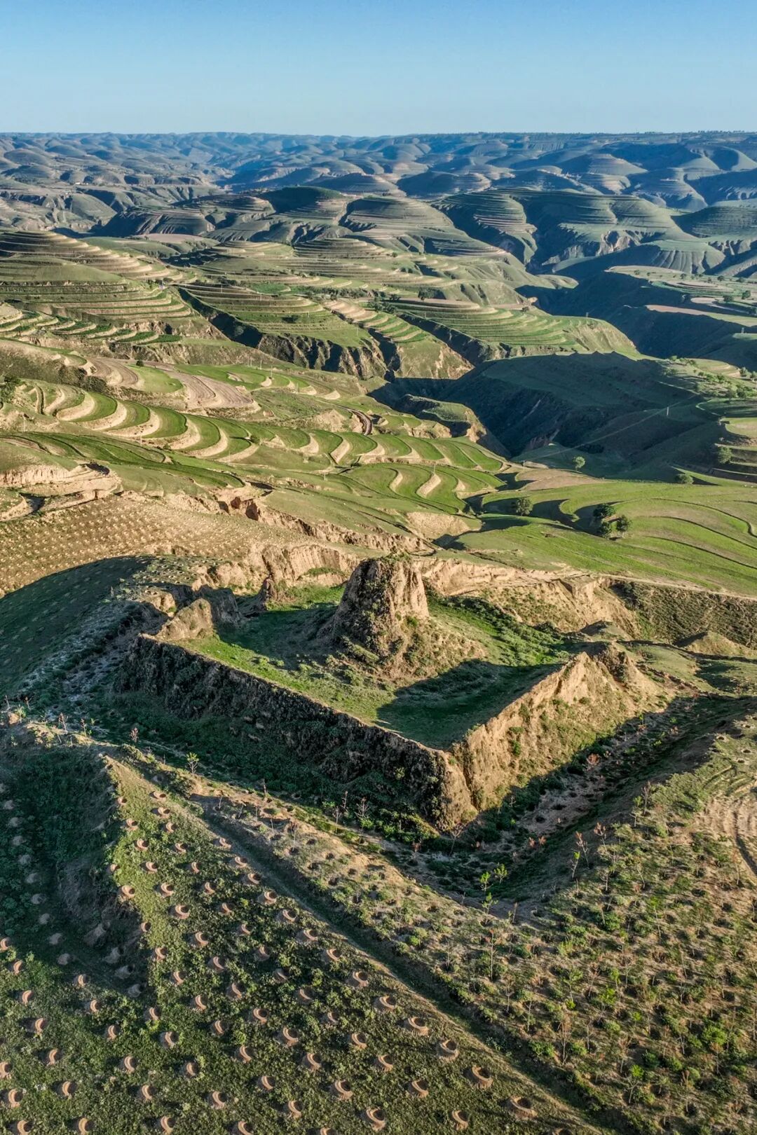 Image related to What More Legends Are Hidden in This Viral "Land of Tan Sheep"?