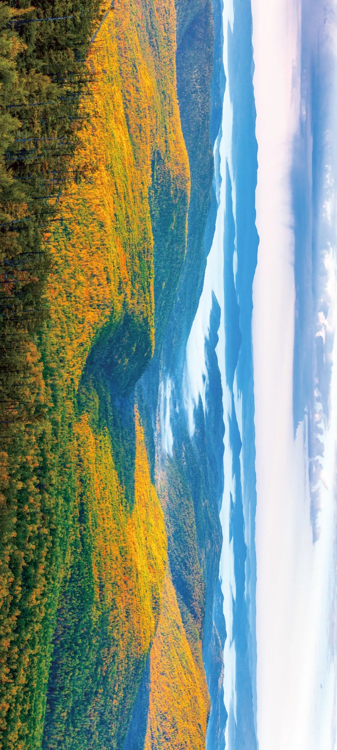 Image related to Top Autumn Getaway Routes for National Day – Still Time to Plan!