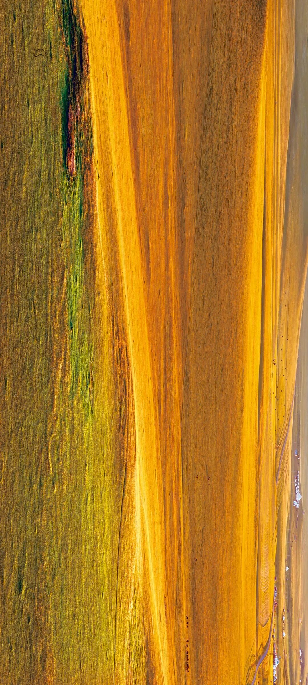 Image related to Top Autumn Getaway Routes for National Day – Still Time to Plan!