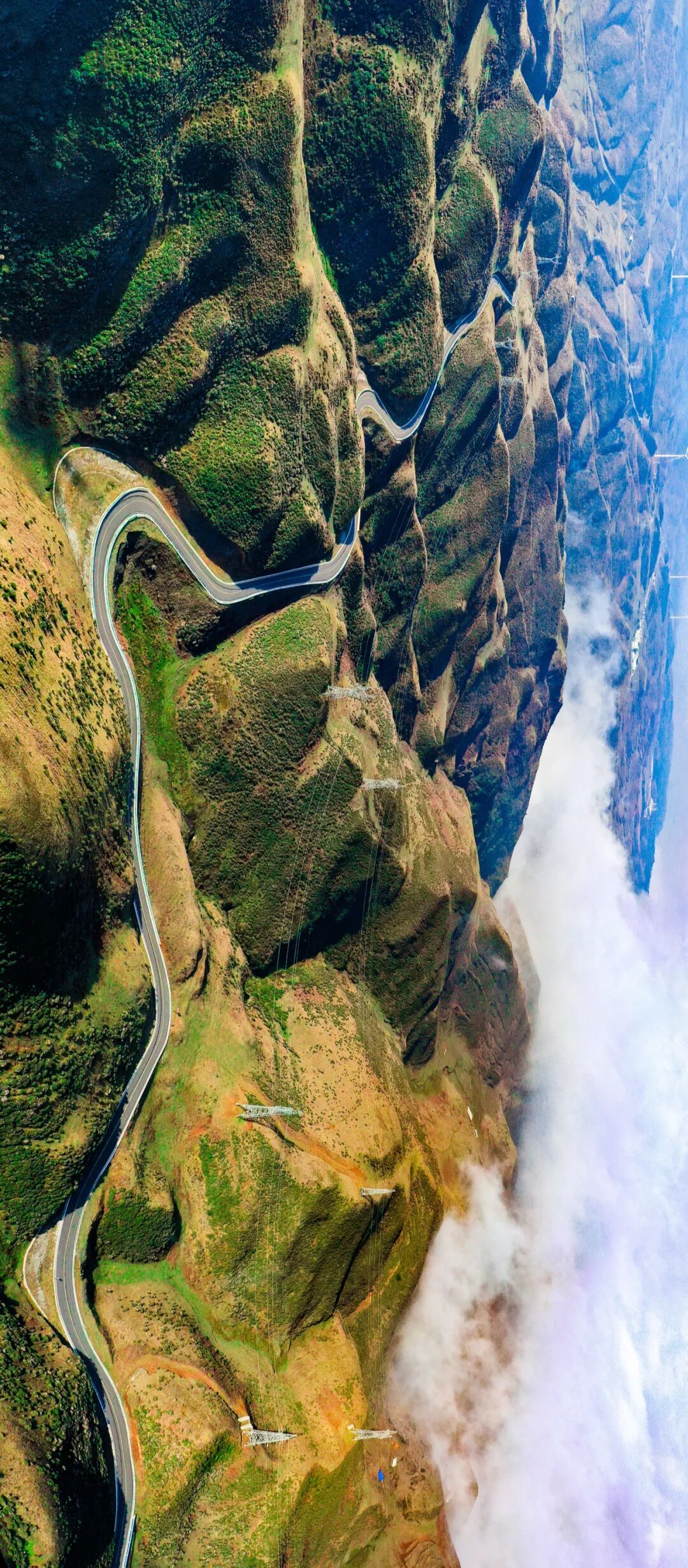 Image related to Why is Guizhou the Kiwi Kingdom?