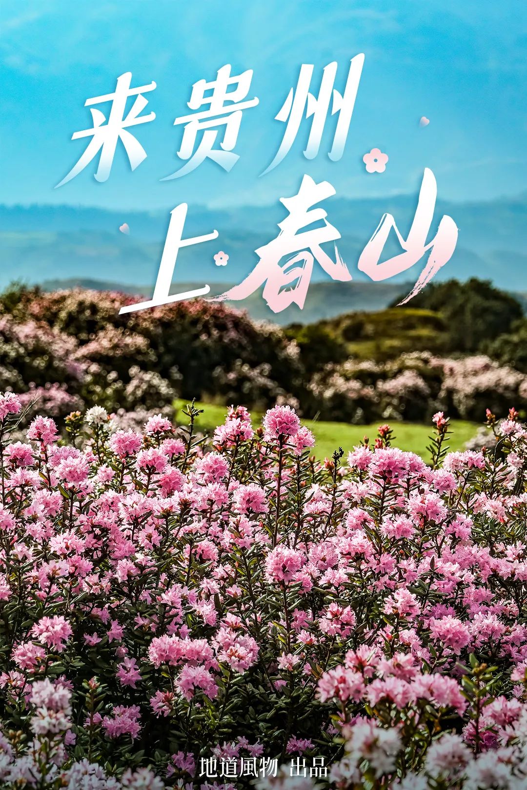 Guizhou's 1.258 Million Spring Mountains Conceal the Most Magnificent March on Earth