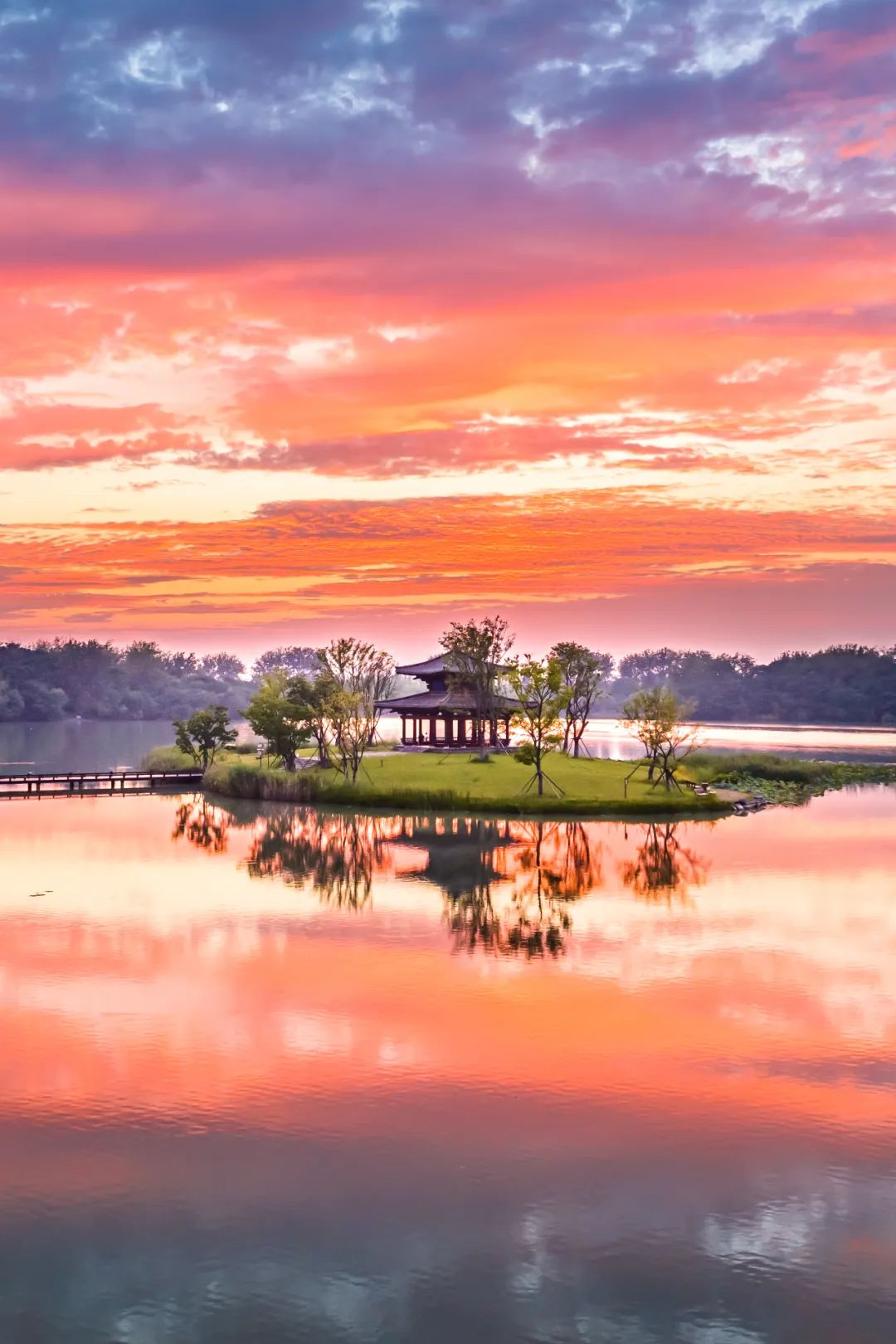 Image related to Why Is This Small Anhui City China's Top Spring Migration Hub?