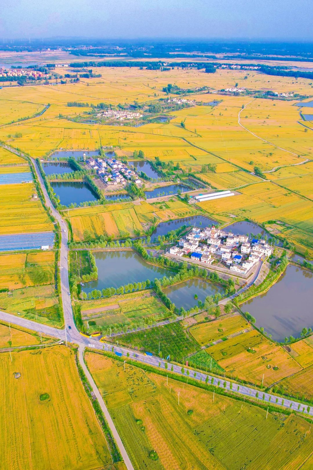 Image related to Why Is This Small Anhui City China's Top Spring Migration Hub?