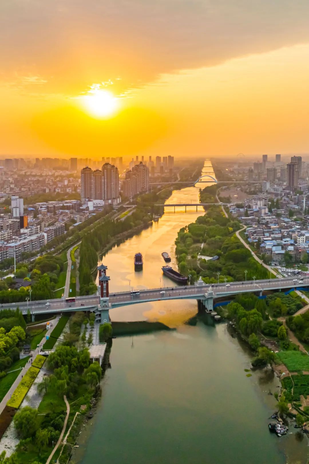 Image related to Why Is This Small Anhui City China's Top Spring Migration Hub?