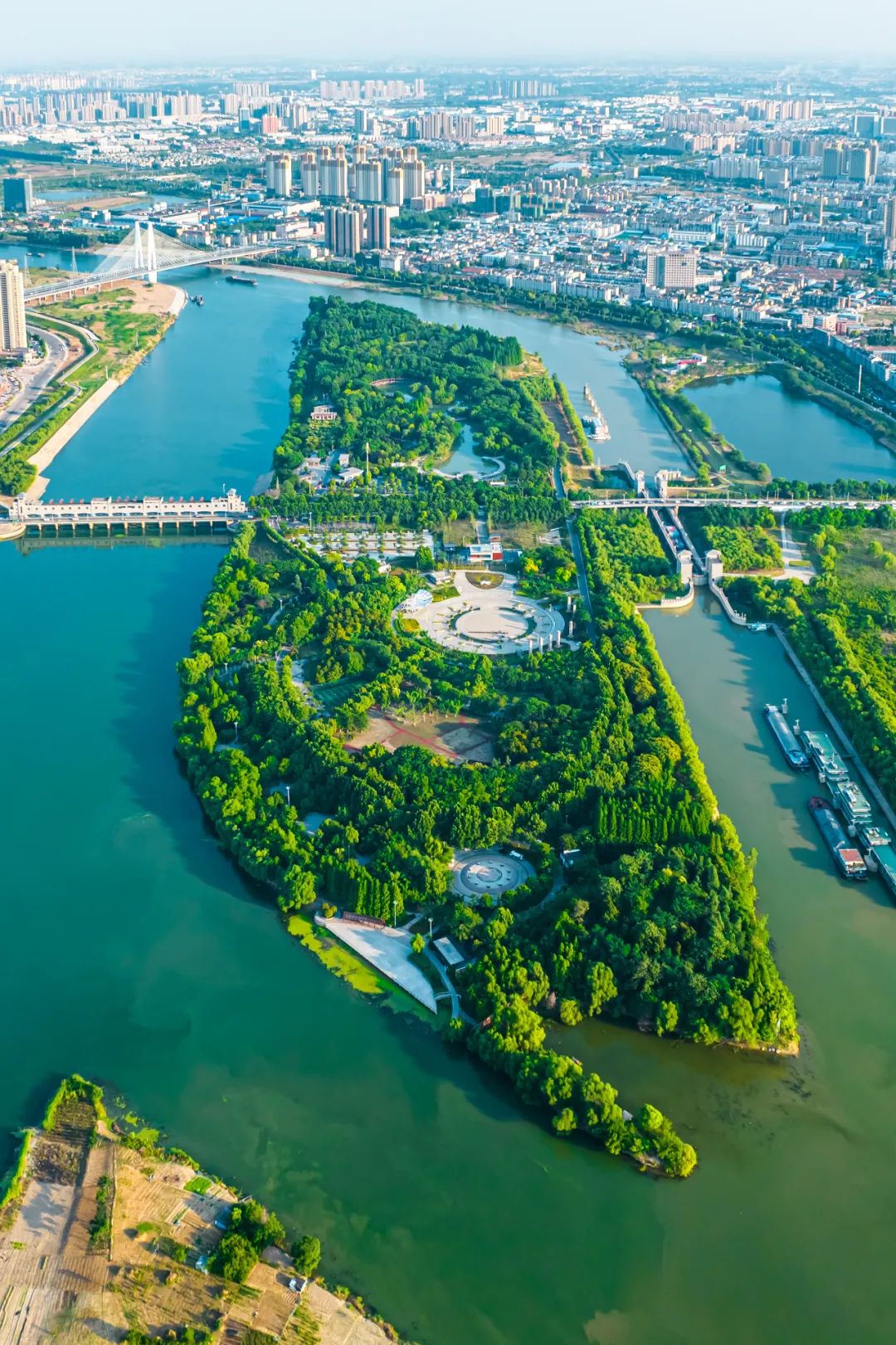 Image related to Why Is This Small Anhui City China's Top Spring Migration Hub?