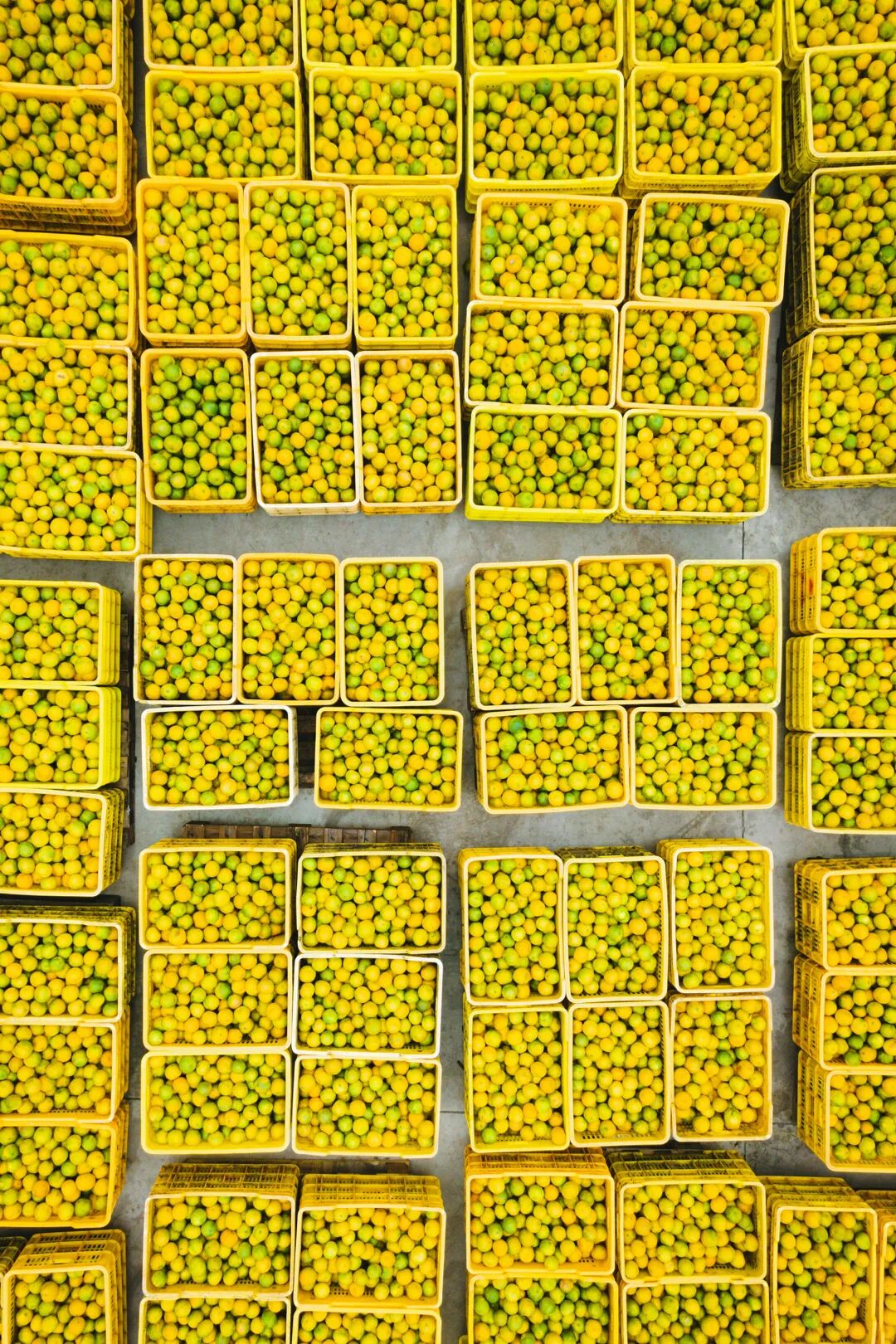 Image related to How Did Guangdong's Most Decentralized City Produce the God of Clay Pot Rice?