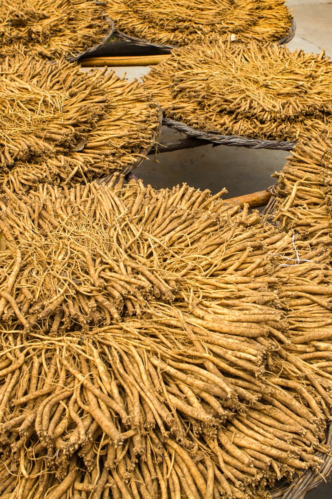 Image related to Why Does Shanxi's Second City Hold 5,000 Years of Chinese History?