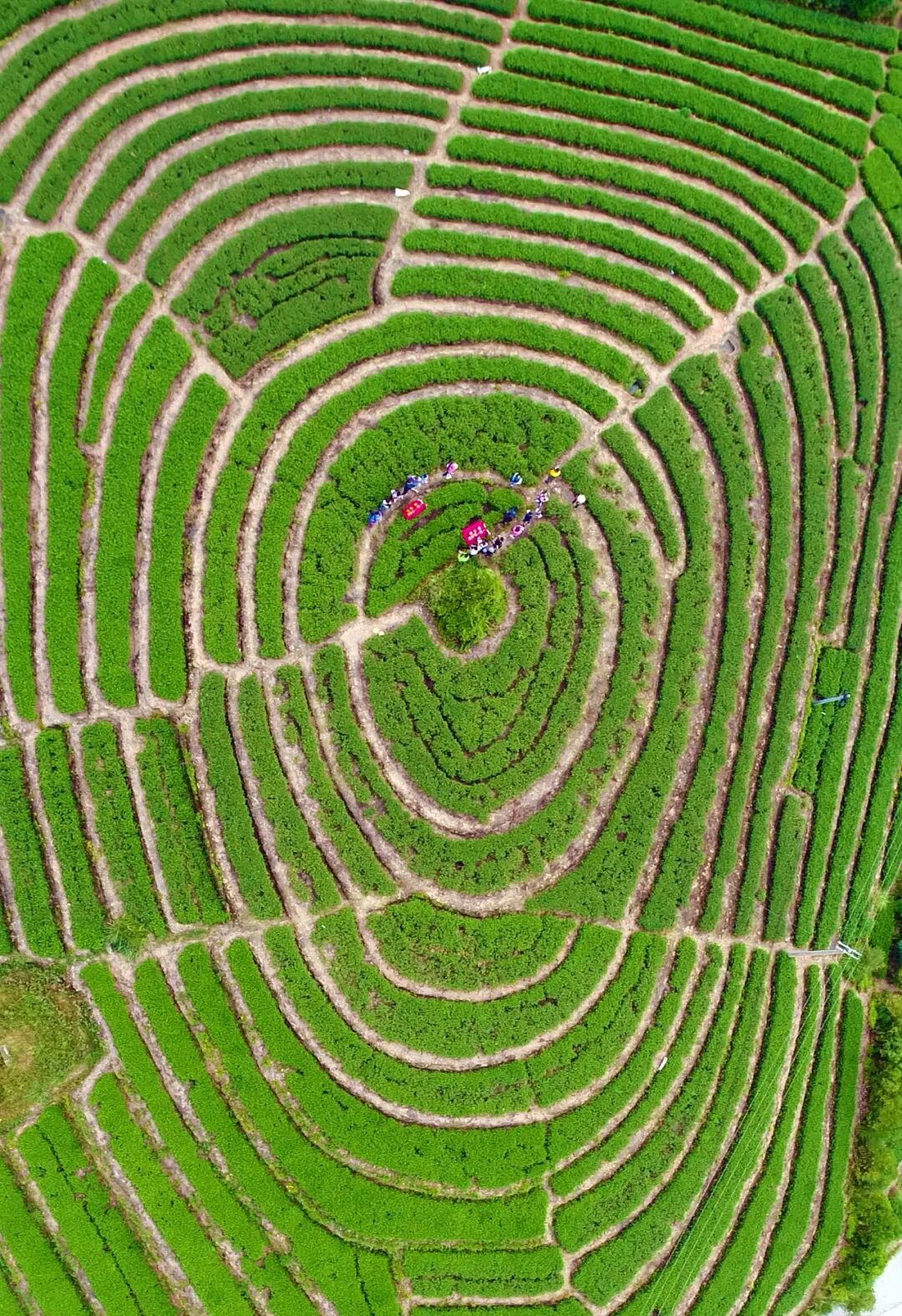 Image related to Why Quanzhou: An Explanation for China's 56th UNESCO World Heritage Site