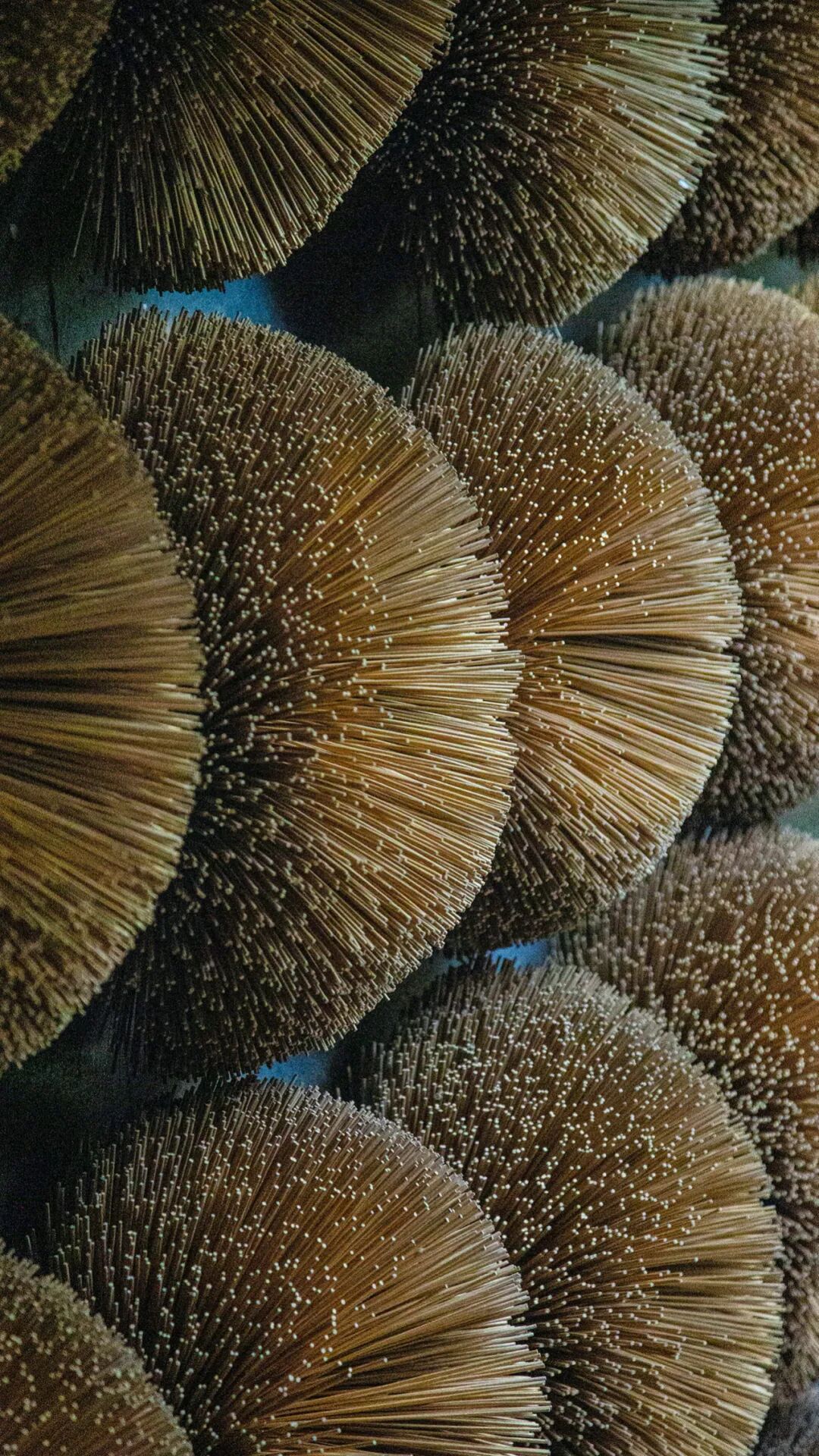 Image related to Why Quanzhou: An Explanation for China's 56th UNESCO World Heritage Site