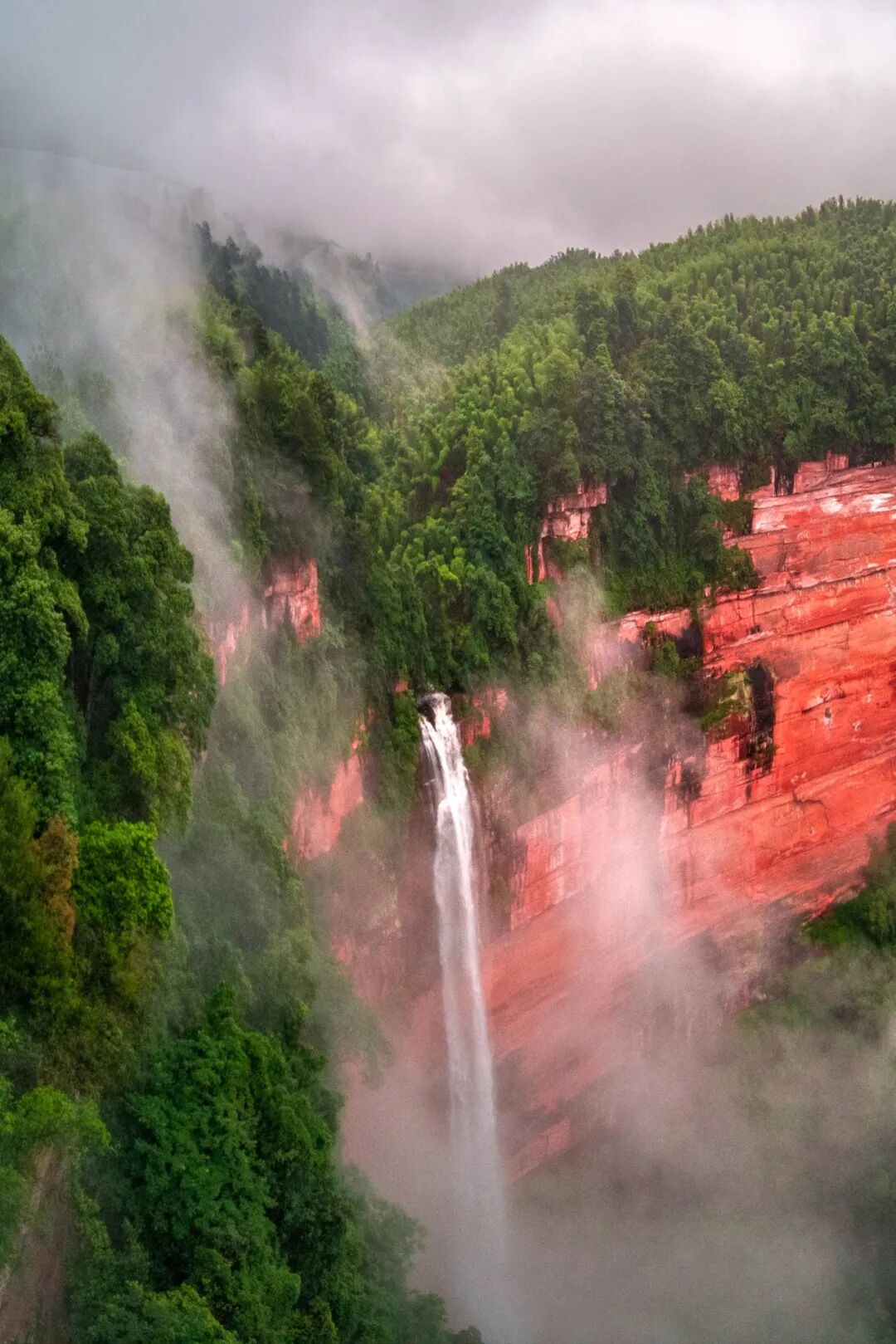 Image related to Green, Green, Green! Tune in to the Mountainous Province's Green Rhapsody!