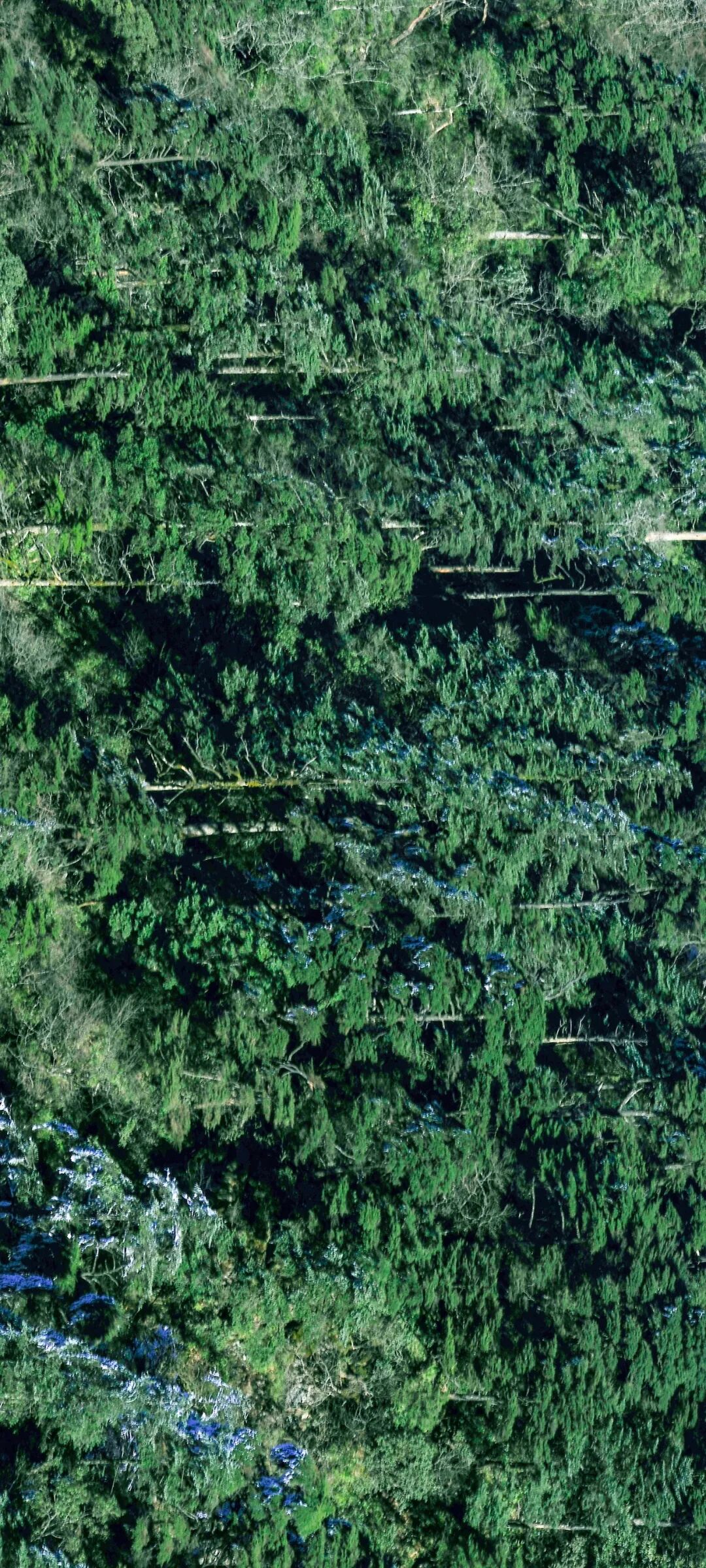 Image related to Green, Green, Green! Tune in to the Mountainous Province's Green Rhapsody!