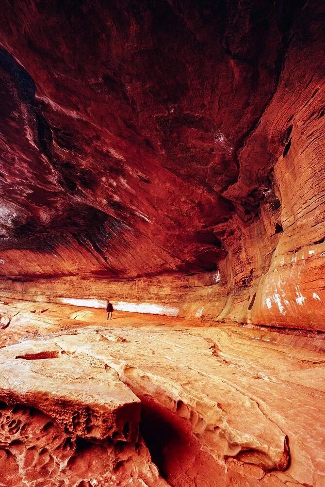 Image related to Green, Green, Green! Tune in to the Mountainous Province's Green Rhapsody!