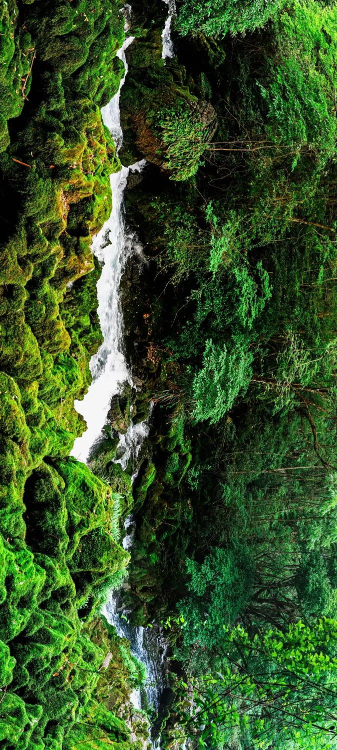 Image related to Green, Green, Green! Tune in to the Mountainous Province's Green Rhapsody!