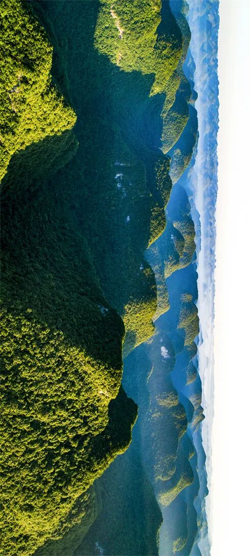 Image related to Green, Green, Green! Tune in to the Mountainous Province's Green Rhapsody!