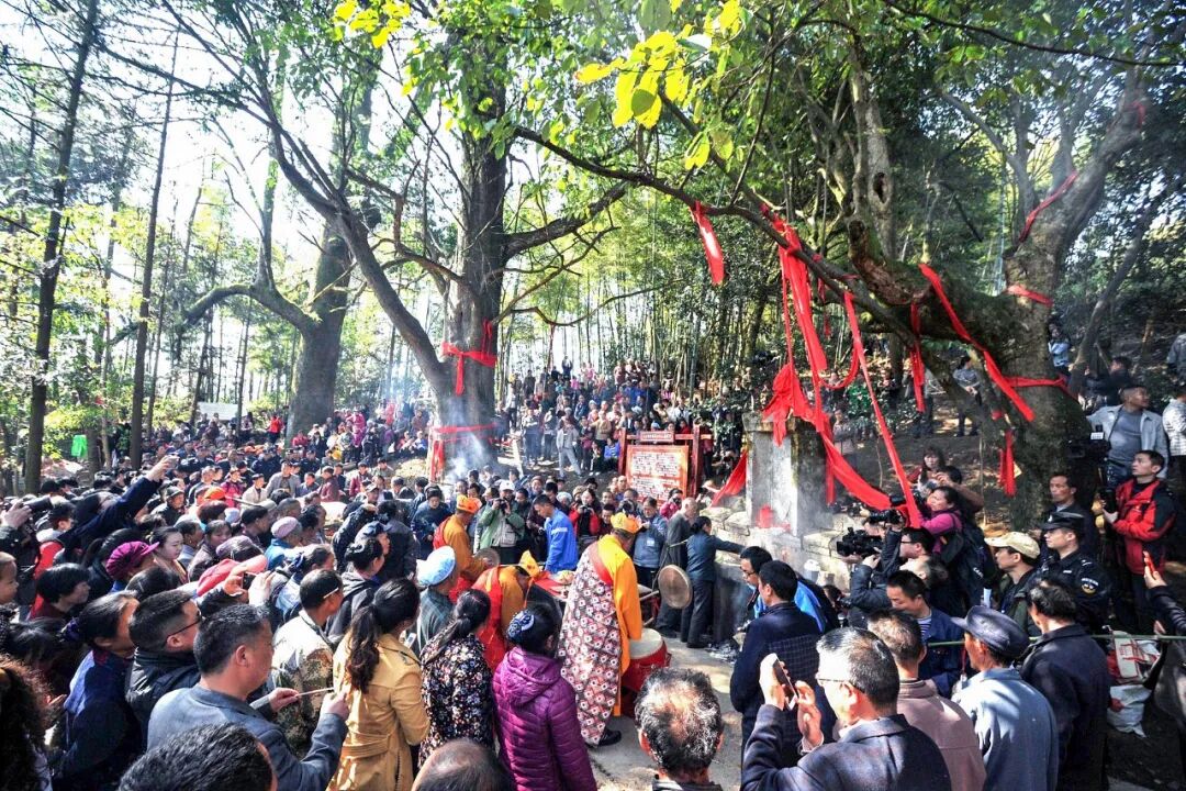 Image related to Green, Green, Green! Tune in to the Mountainous Province's Green Rhapsody!