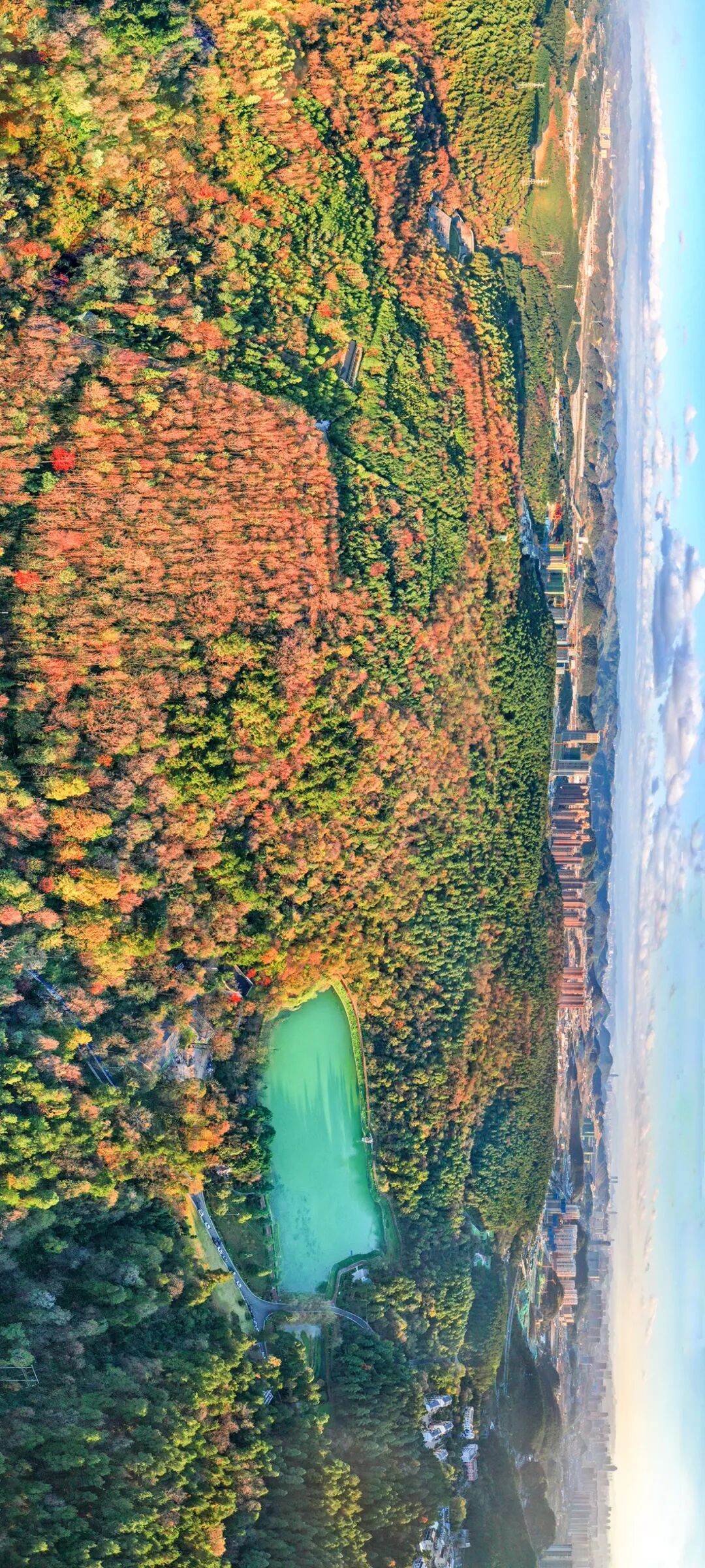 Image related to Green, Green, Green! Tune in to the Mountainous Province's Green Rhapsody!