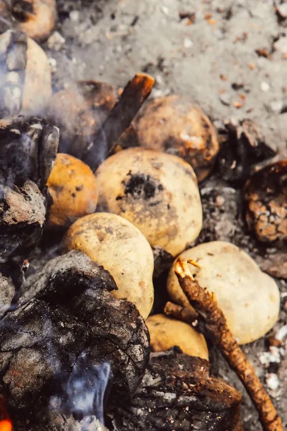 Image related to No One Can Say No to Potatoes in Yunnan and Guizhou!