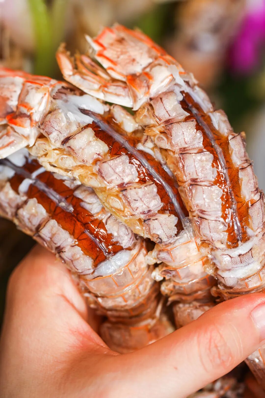 Image related to The Most Underrated Seafood City in Hebei: Neither Qinhuangdao Nor Tangshan
