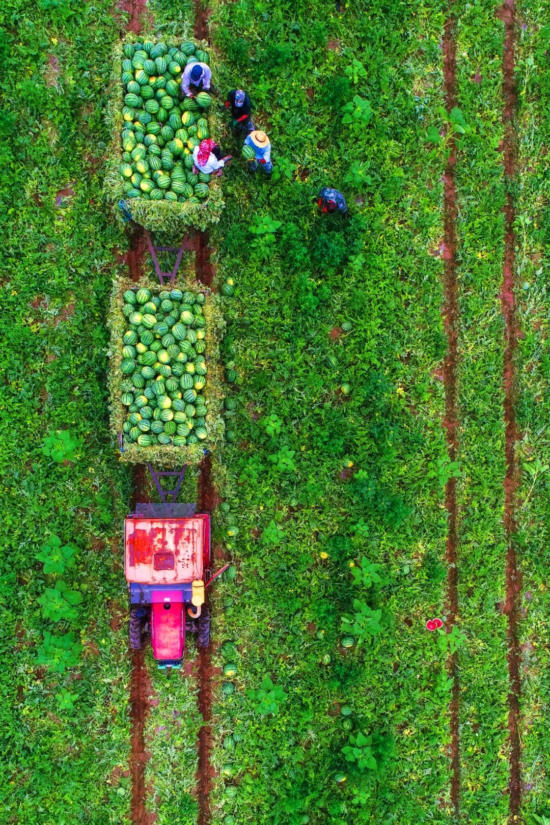 Image related to China's Most Gifted Summer Retreat Province: Revel in a Refreshing 22°C Getaway!