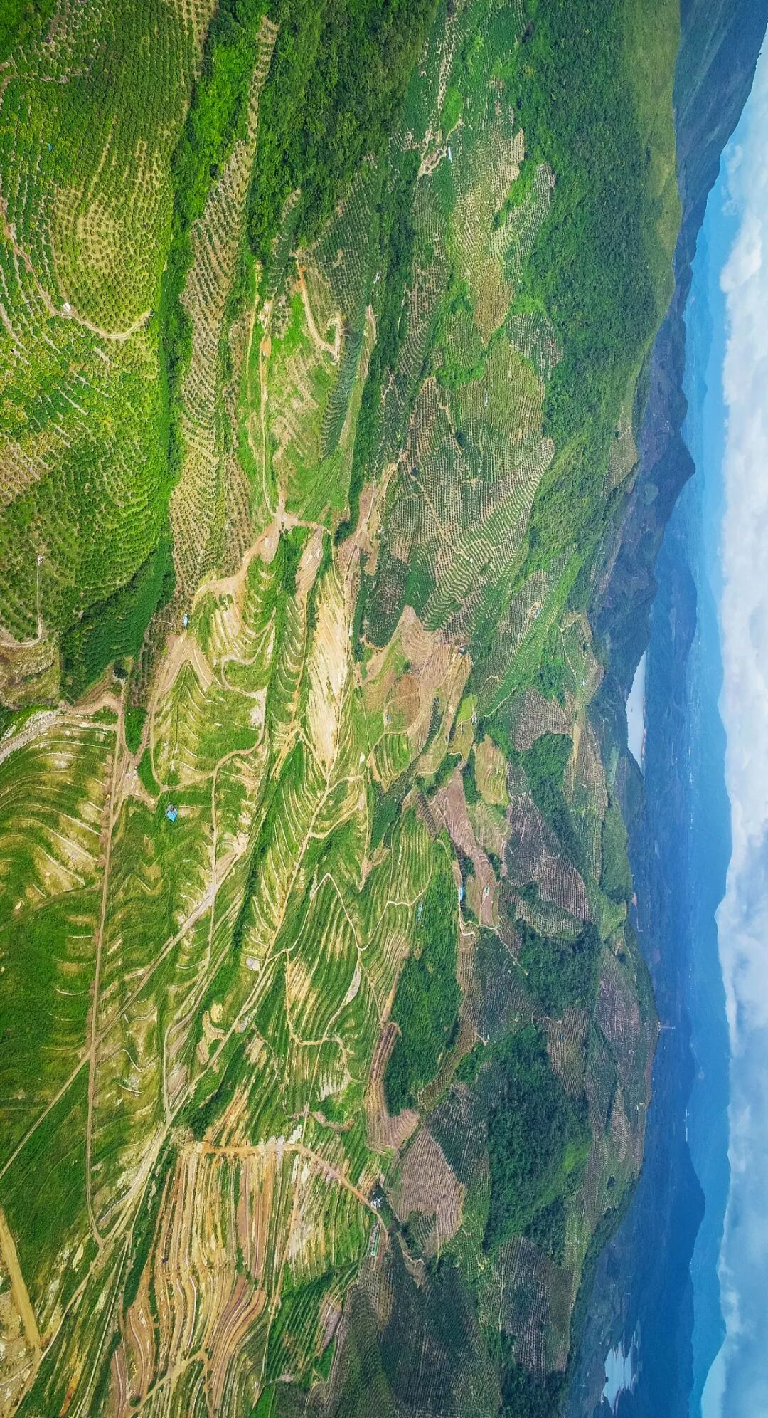 Image related to A Year-Round Fruit Fiesta: How This Mega-Province Sweetens China's Four Seasons