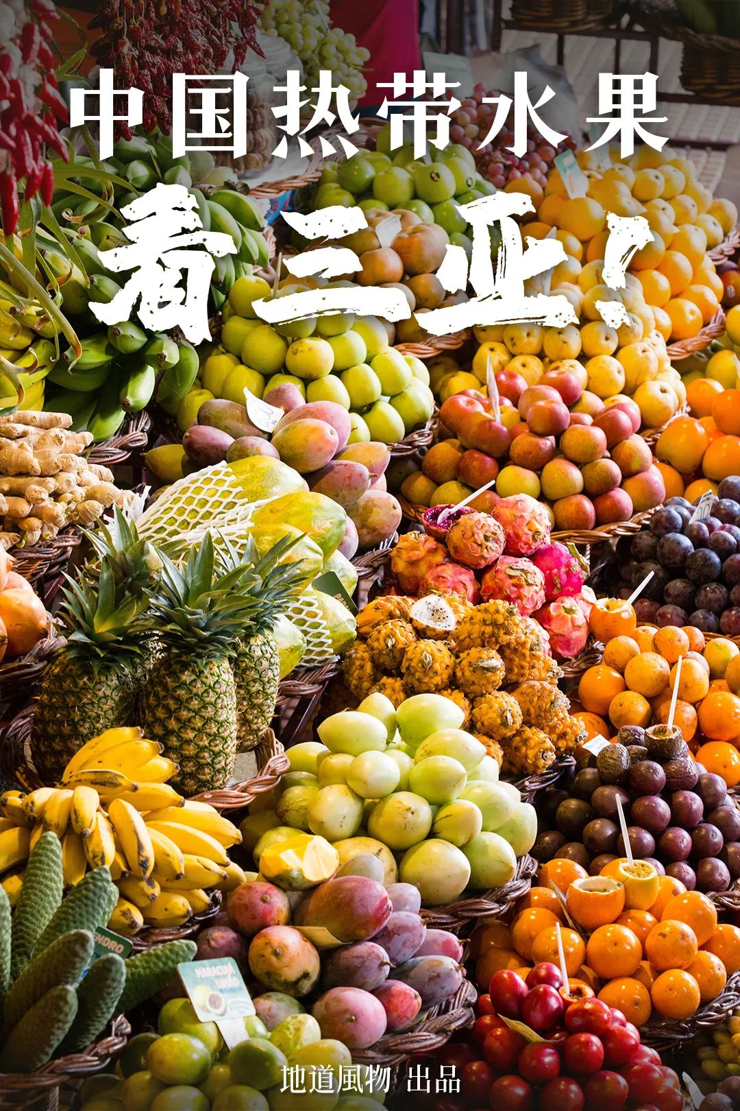 A Year-Round Fruit Fiesta: How This Mega-Province Sweetens China's Four Seasons
