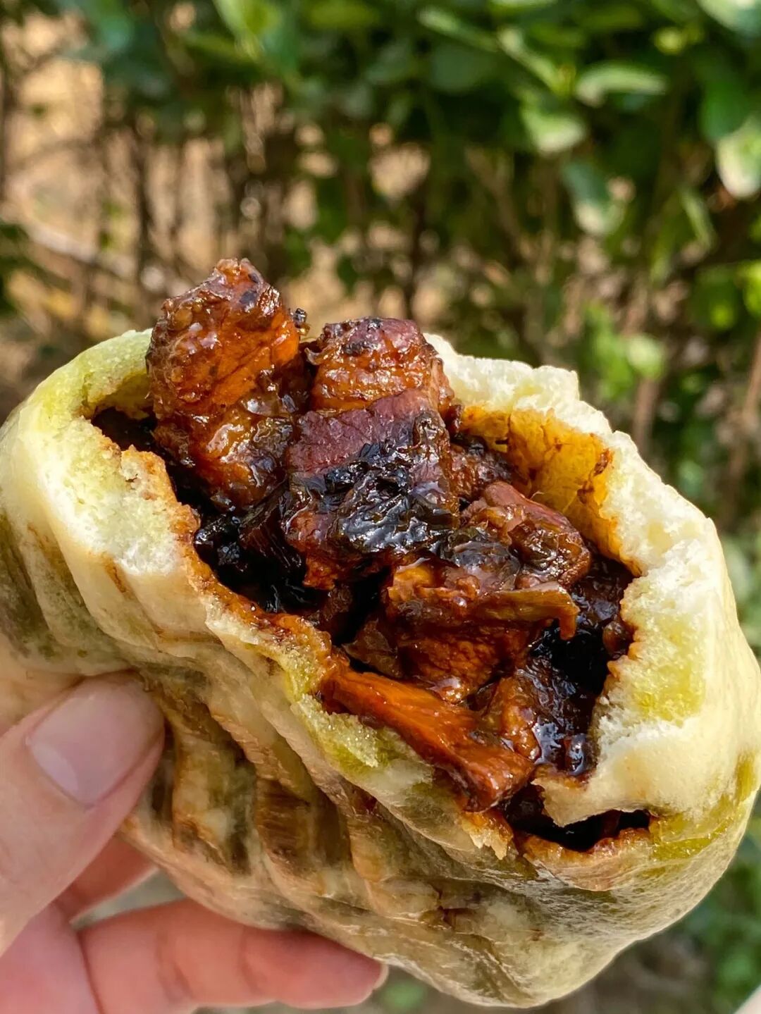 Image related to How Crazy Are Shandong-Style Baozi? Stuffed with Sea Cucumber, Abalone and Spare Ribs!