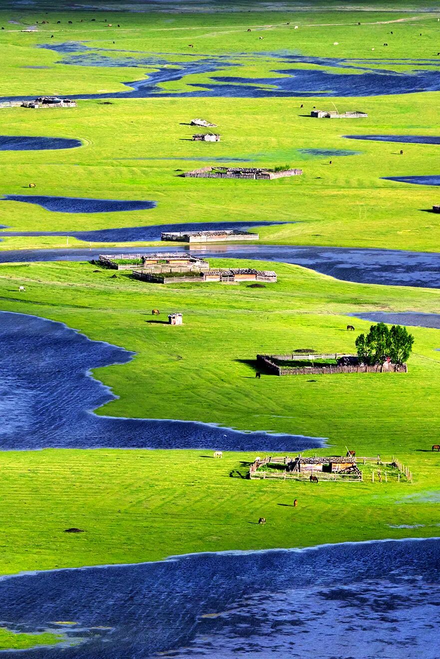 Image related to Where in China Can You Experience All Four Seasons in a Single Day?