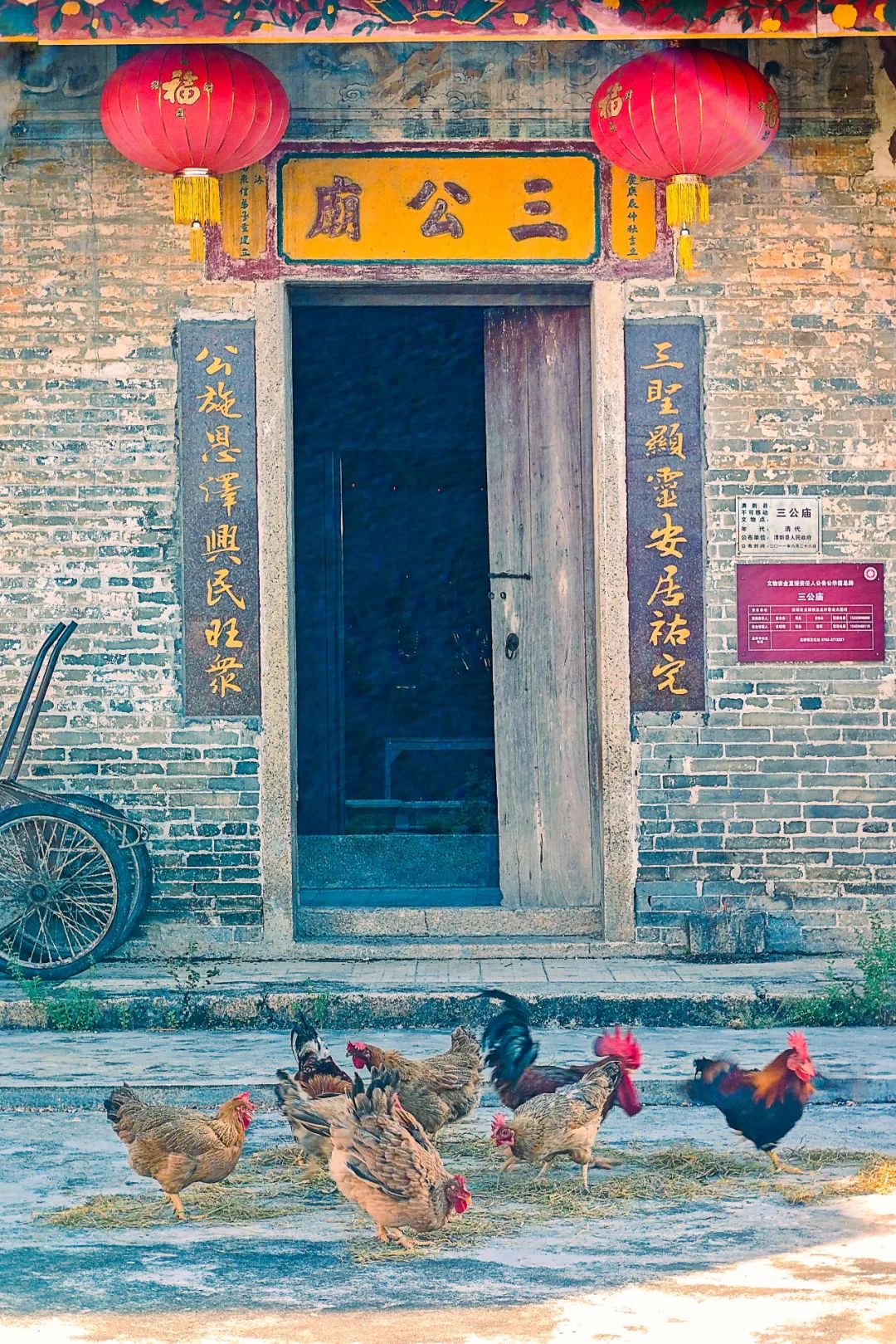 Image related to China's Top Chicken-Loving Province in the South: How Amazing Are Its Signature Dishes?