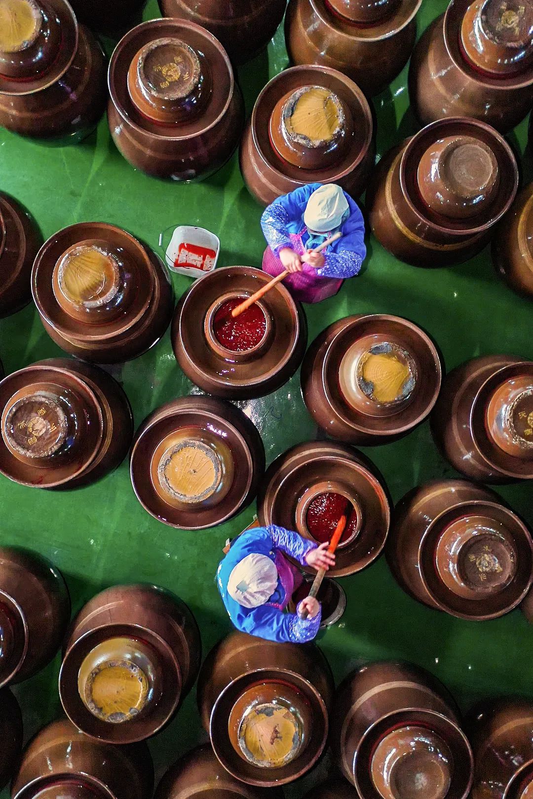 Image related to Why Is Guizhou the Global Hub for Premium Fermented Foods?