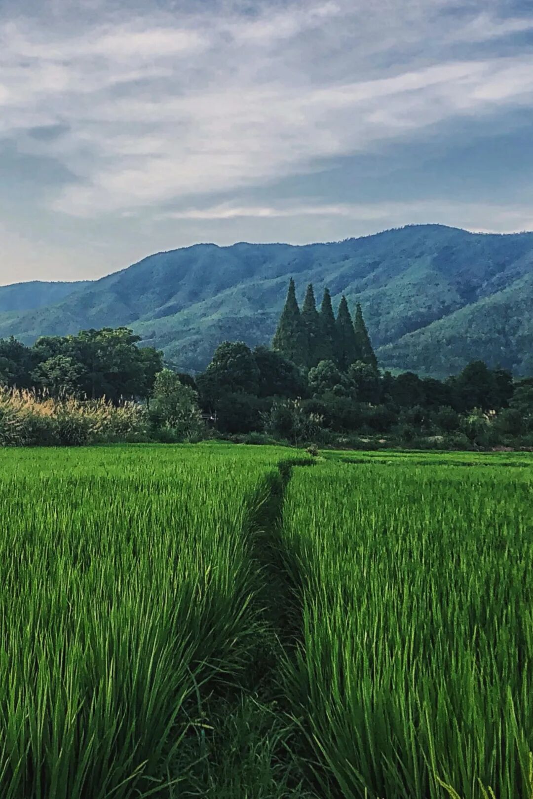 Image related to The Origin of "Jian" in Fujian