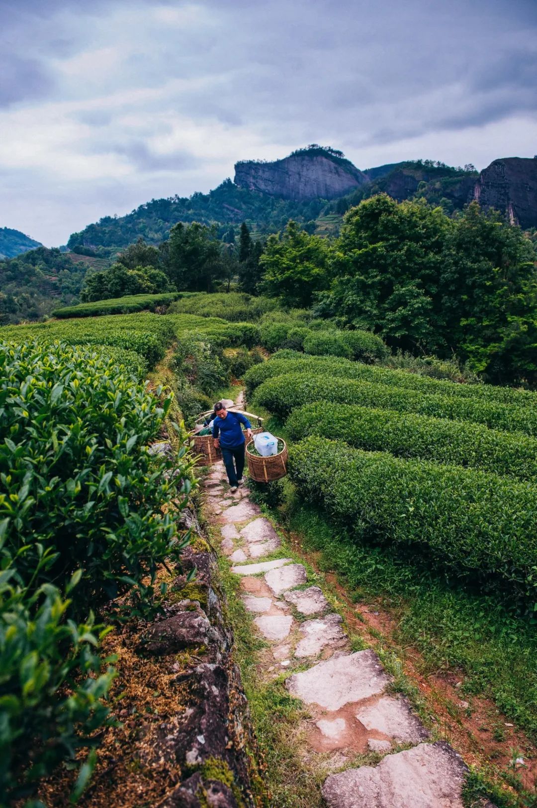Image related to The Origin of "Jian" in Fujian