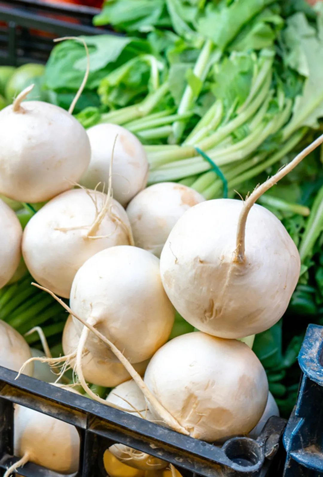 Image related to The Ultimate Autumn-Winter Vegetable: How Did It Win Over Both Northern and Southern Palates?