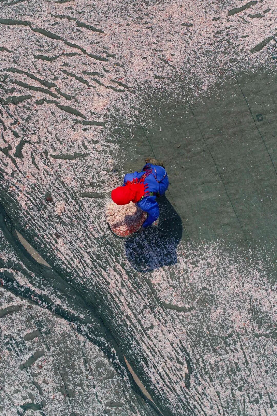 Image related to Surprise! Sun Wukong’s Hometown Is Actually Jiangsu’s Top Seafood City
