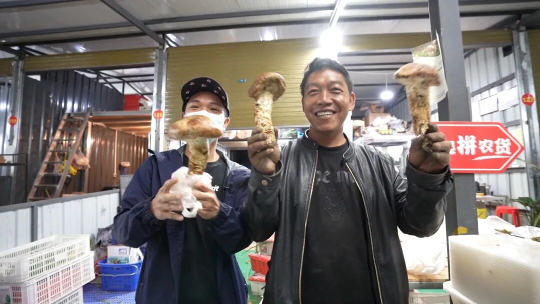 Image related to Why Does Shangri-La Grow the Best Matsutake Mushrooms?