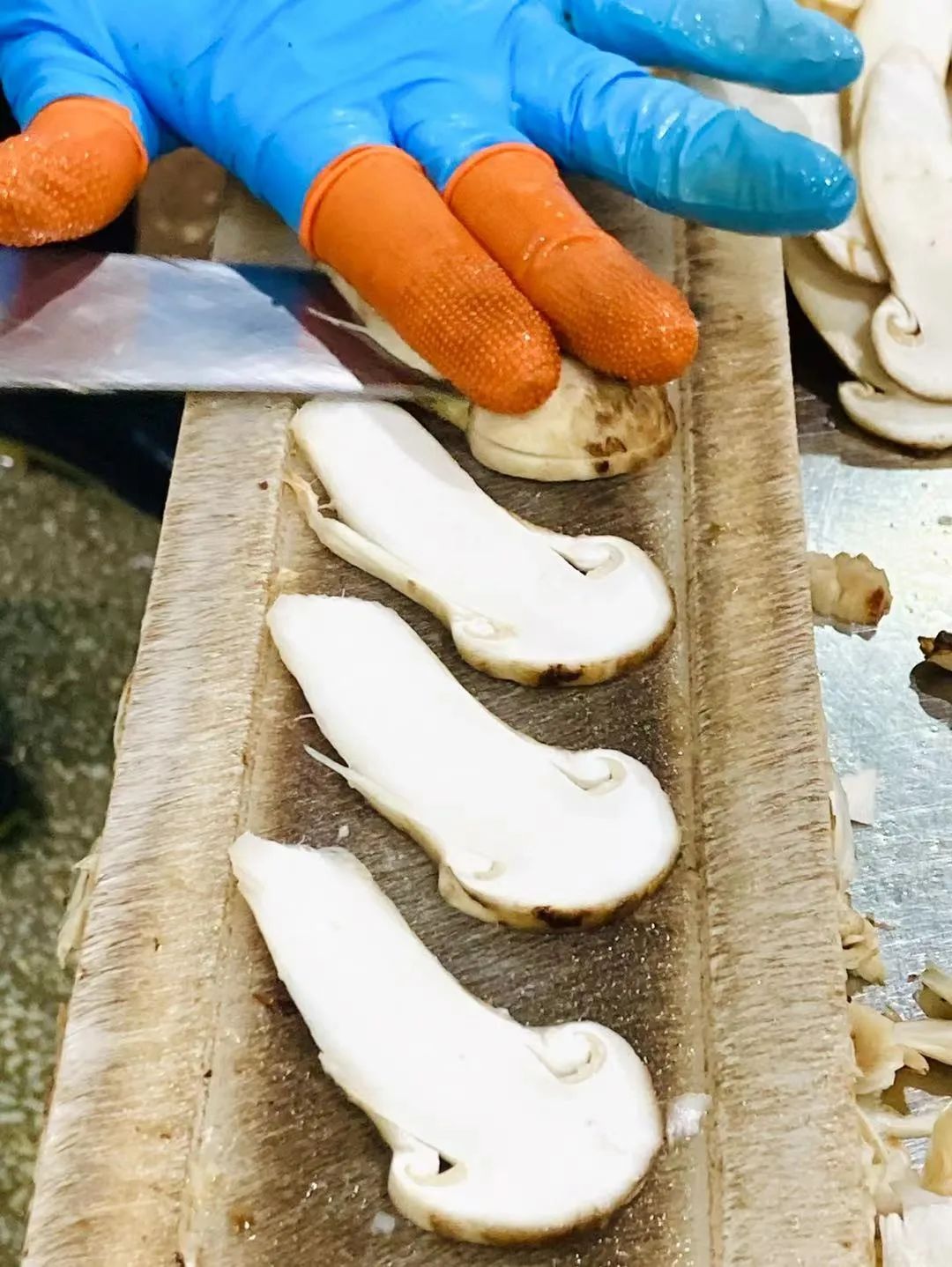Image related to Why Does Shangri-La Grow the Best Matsutake Mushrooms?