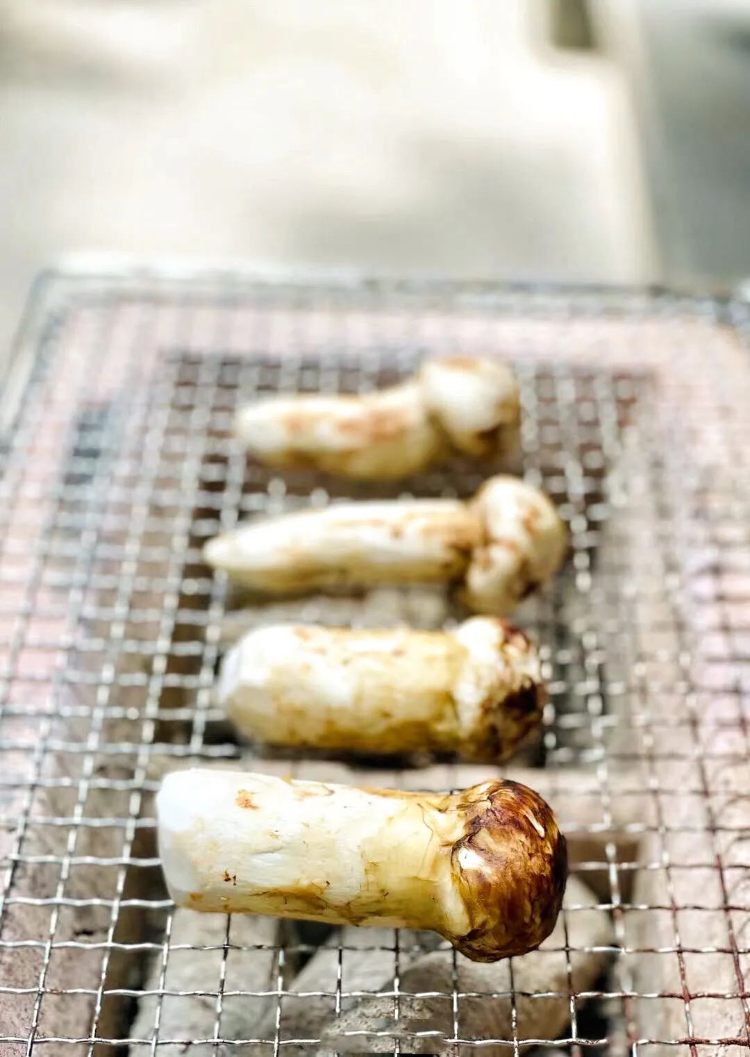 Image related to Why Does Shangri-La Grow the Best Matsutake Mushrooms?