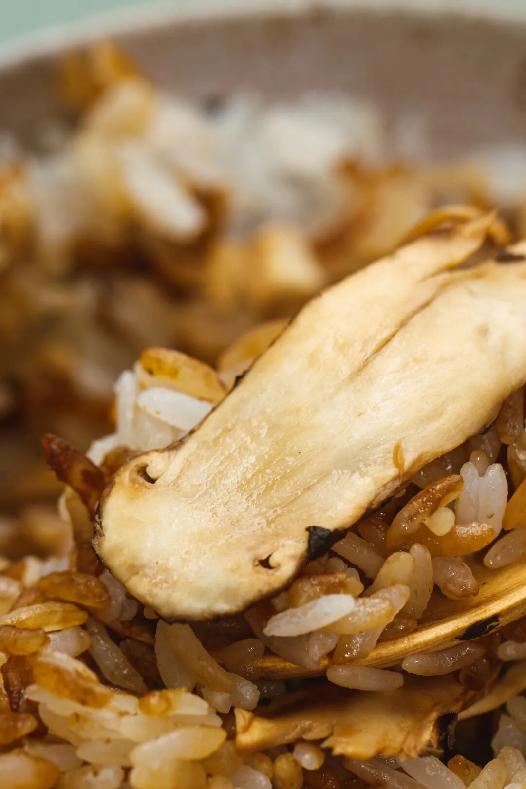 Image related to Why Does Shangri-La Grow the Best Matsutake Mushrooms?