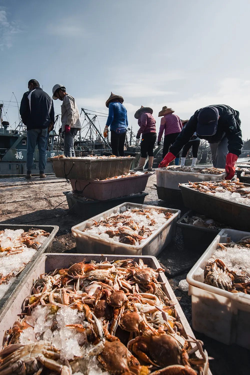 Image related to Surprise! This City Holds the Key to China's Abalone Affordability