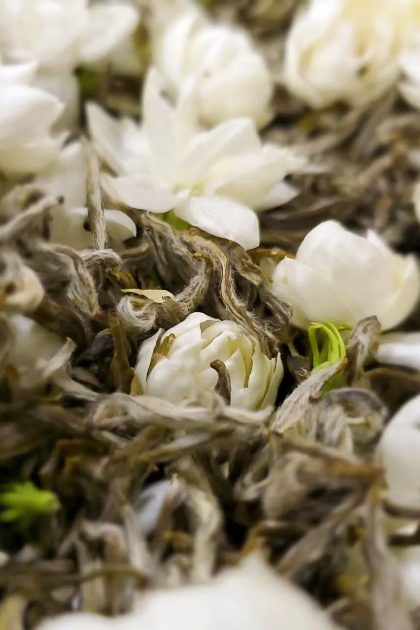 Image related to Why Fuzhou Holds the Key to Understanding Chinese Gourmet Delicacies