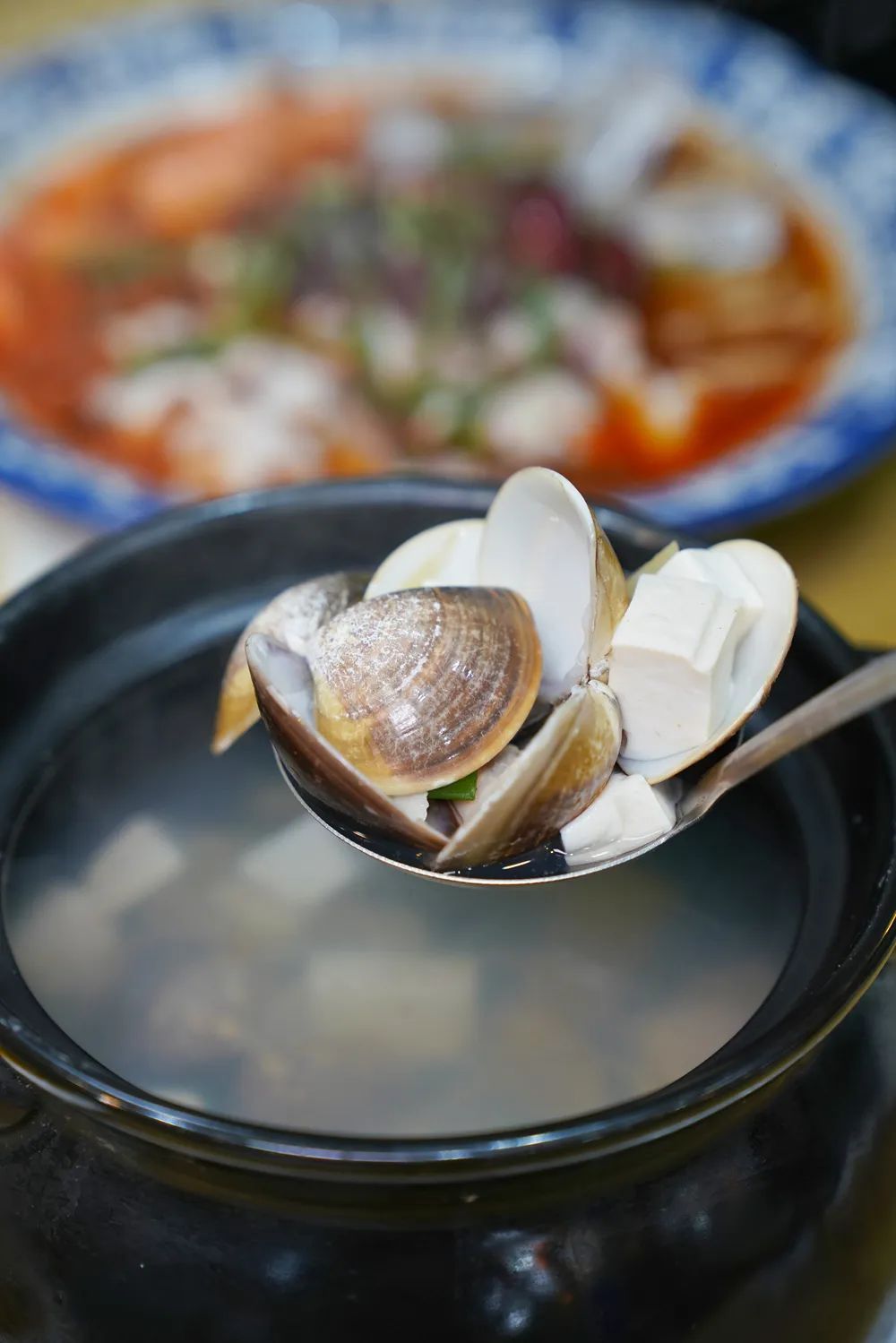 Image related to Surprise! This City Holds the Key to China's Abalone Affordability