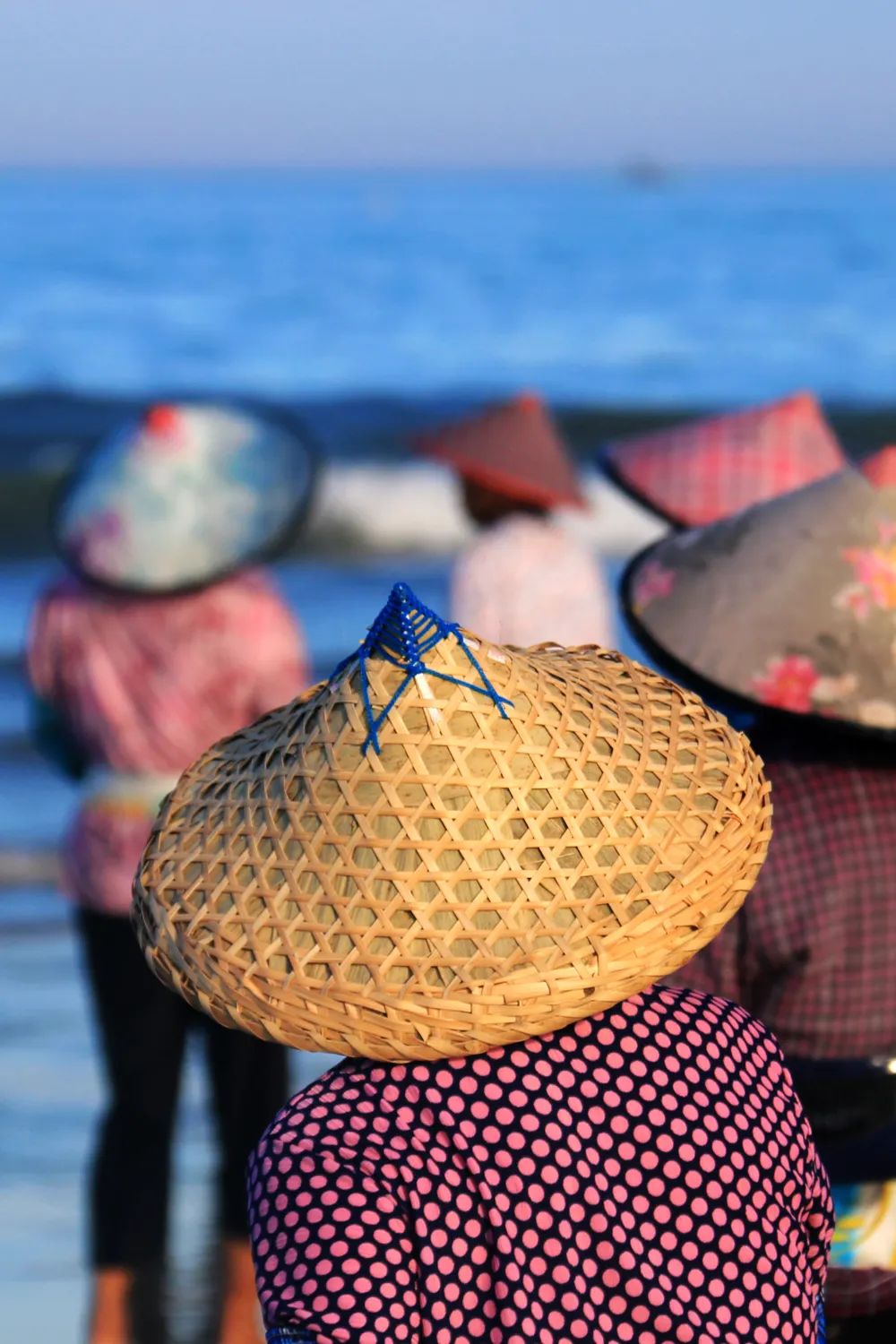 Image related to Surprise! This City Holds the Key to China's Abalone Affordability