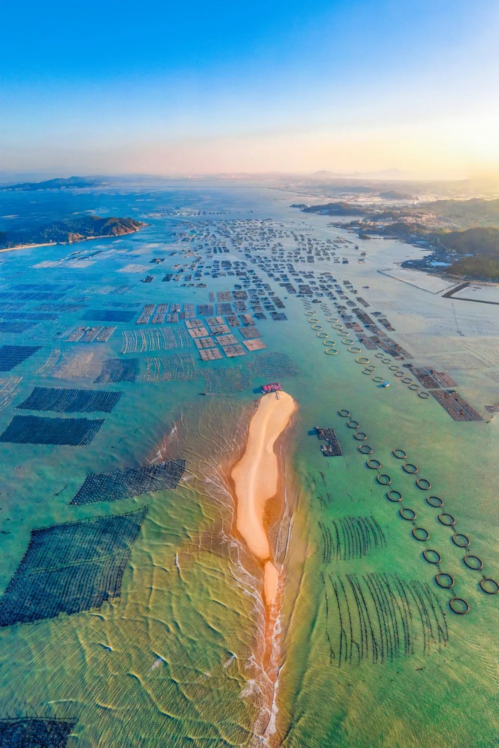 Image related to Surprise! This City Holds the Key to China's Abalone Affordability