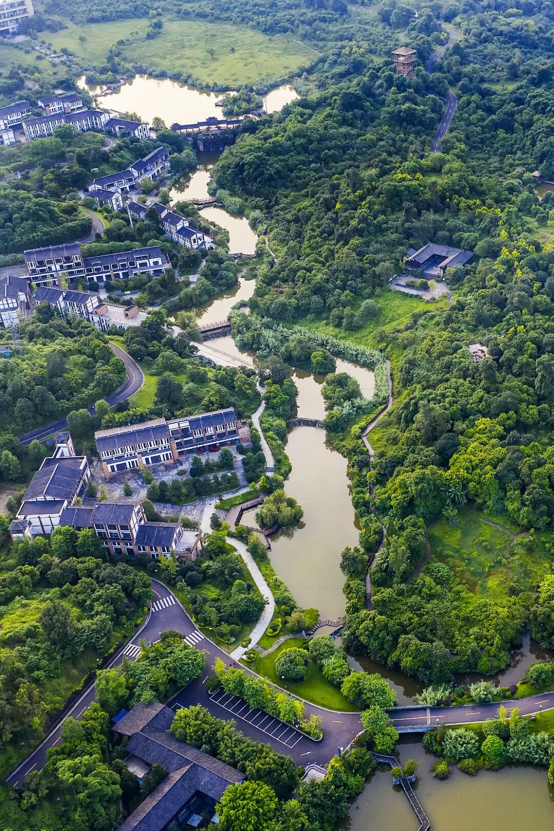 Image related to How Much Alcohol Can This Chinese "Liquor City" Really Handle?