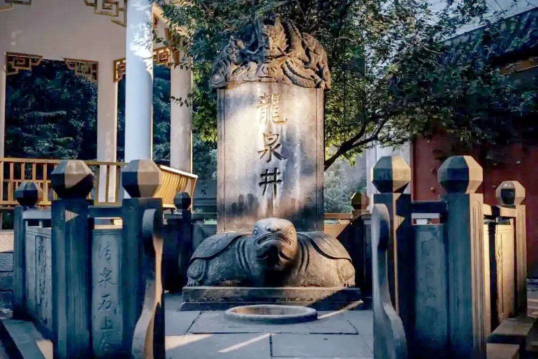 Image related to How Much Alcohol Can This Chinese "Liquor City" Really Handle?