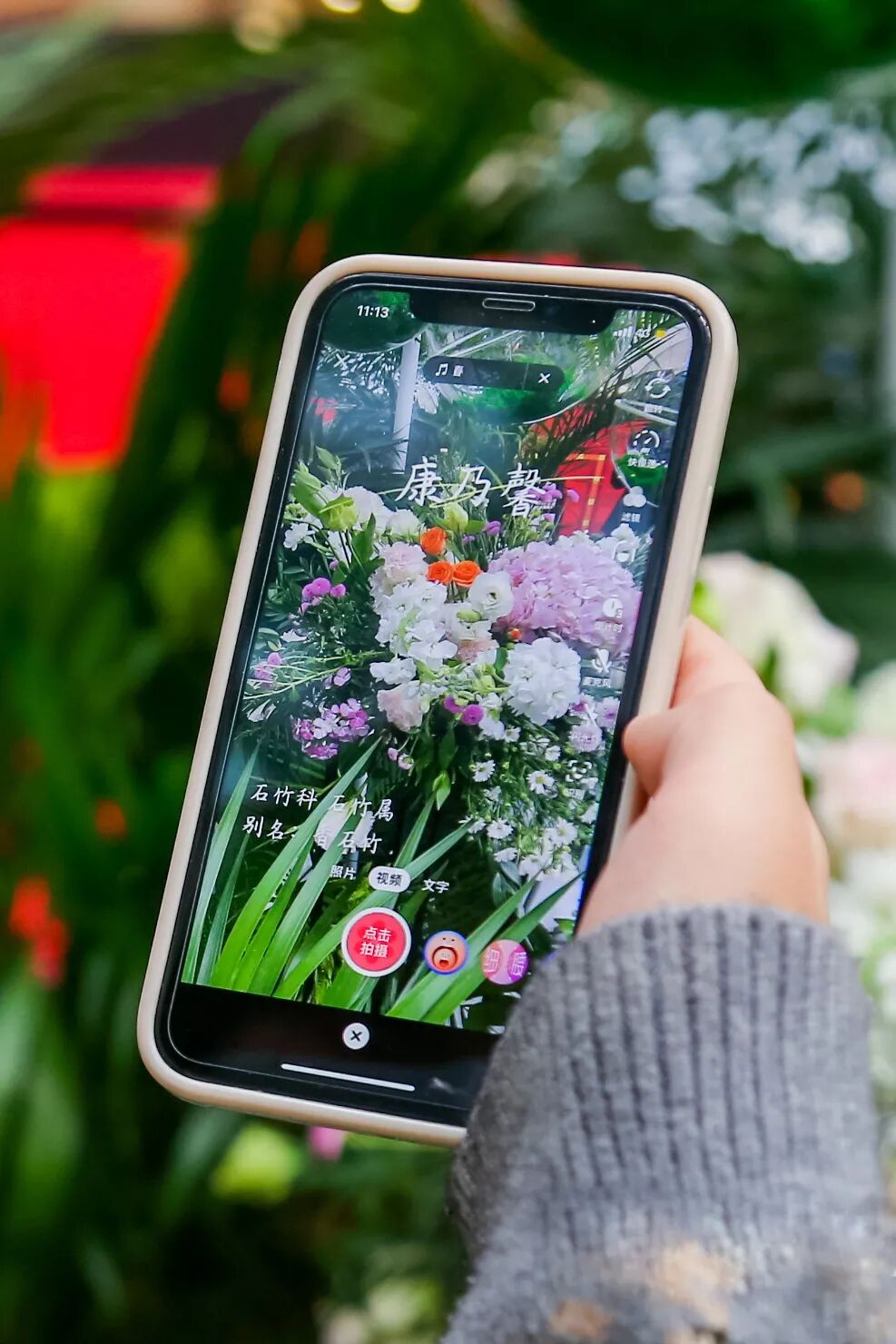 Image related to Yunnan, China: What Makes It the "World's Kingdom of Fresh Flowers"?