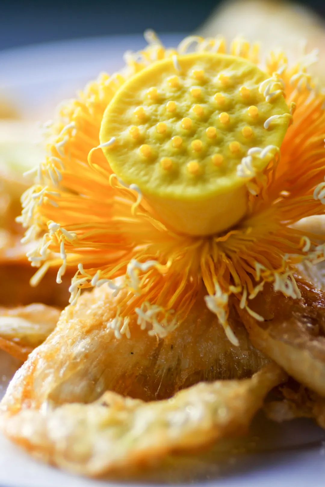 Image related to Yunnan, China: What Makes It the "World's Kingdom of Fresh Flowers"?