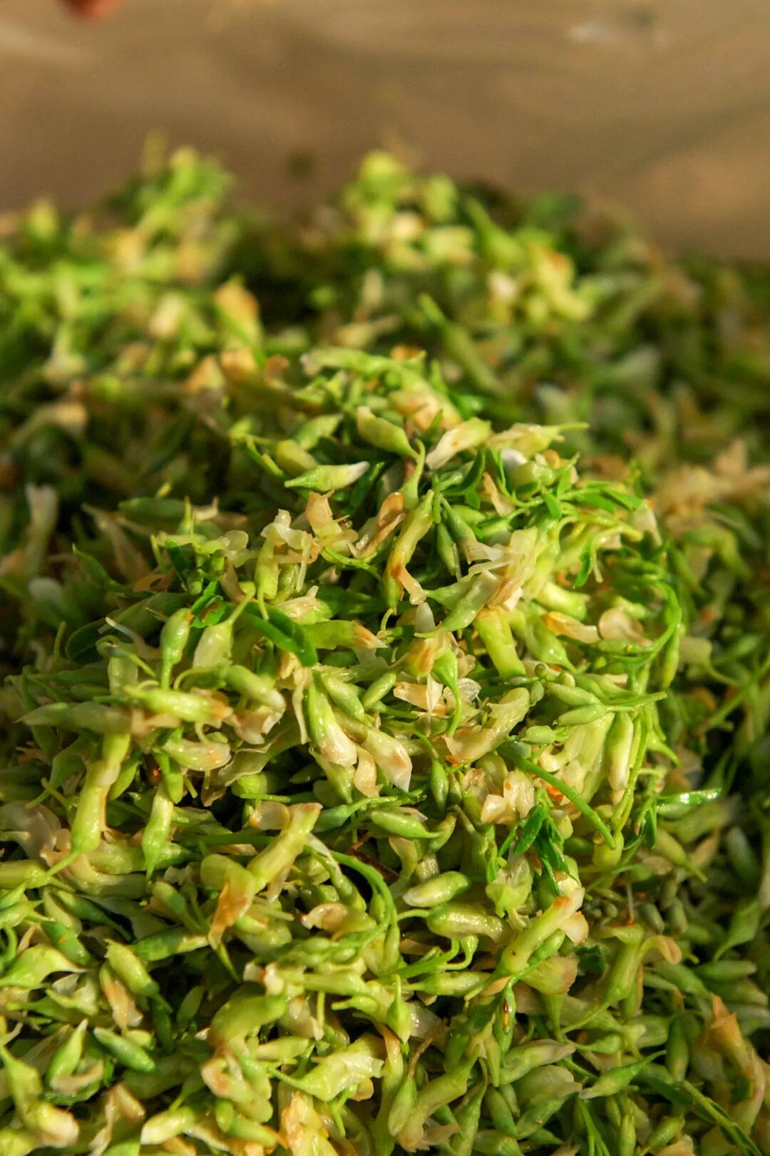Image related to Yunnan, China: What Makes It the "World's Kingdom of Fresh Flowers"?