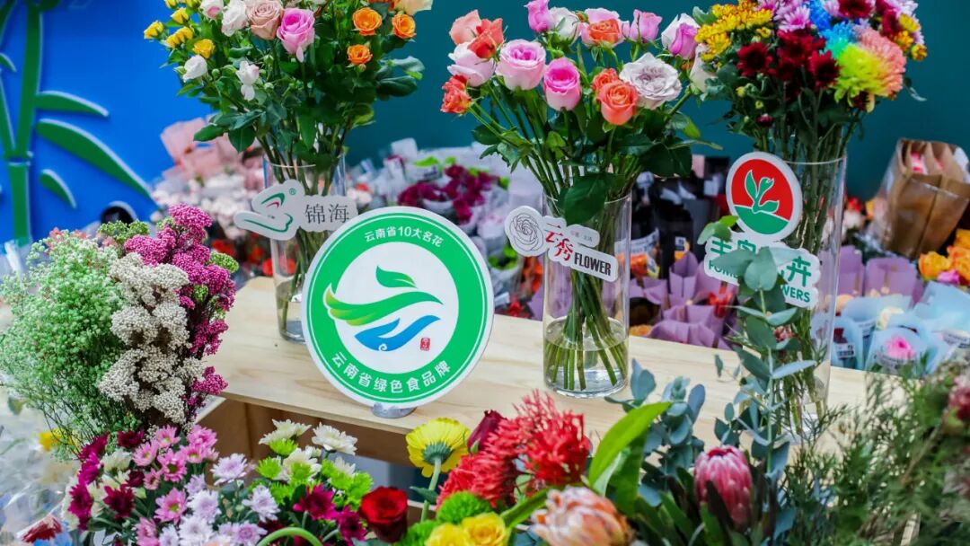 Image related to Yunnan, China: What Makes It the "World's Kingdom of Fresh Flowers"?